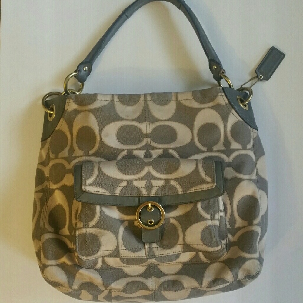 Coach Penelope Hogo Bag F18875